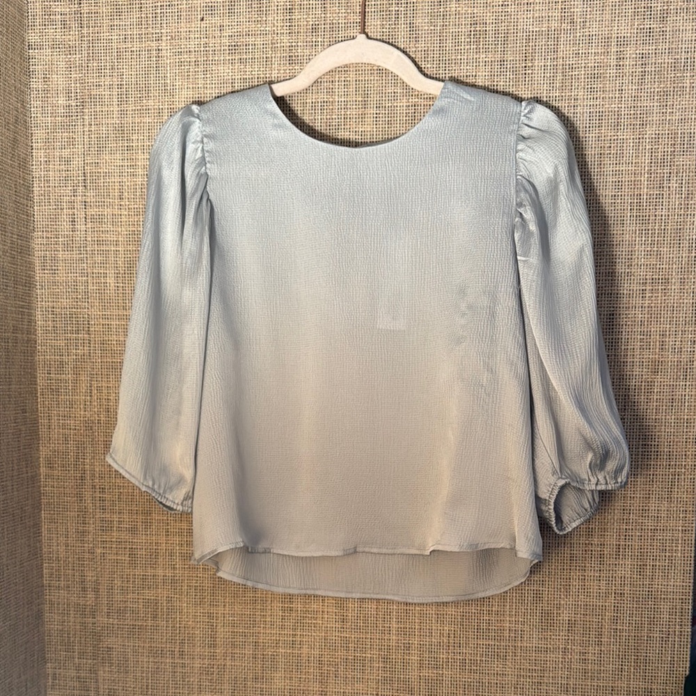 BB Dakota Shimmering Silver Blouse